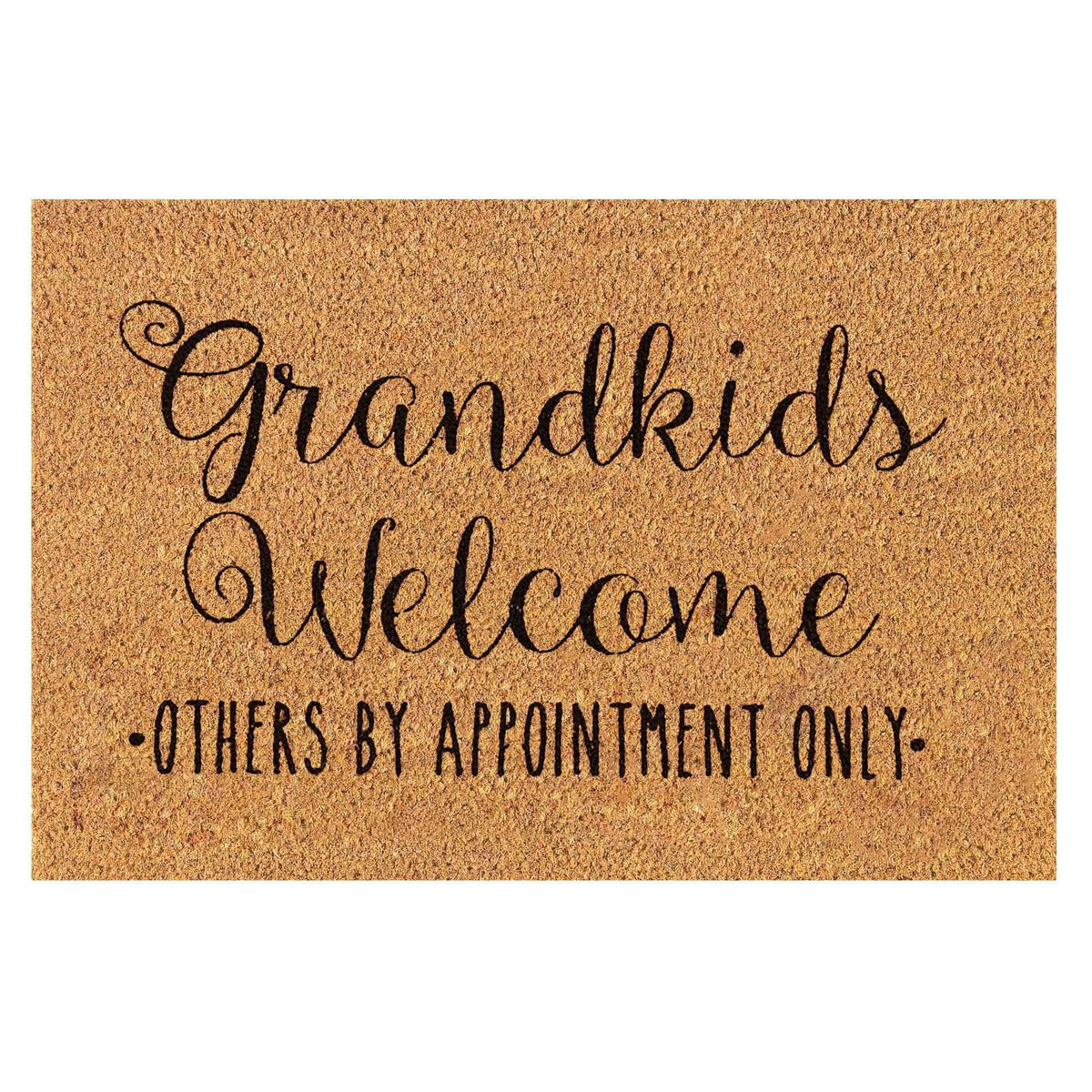 16x24 inch Doormats for Outdoor Entrance Home Waterproof Floor Mat Outdoor Rug Front Door Spring Mat Floor Decor Outdoor Summer Decor Spring Rugs Mat for Front Door Outside Outdoor Porch Mat Doormat22