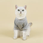 LGCASL Pet Hoodie, Dog Winter Sweater Cat Warm Clothes Pet Sweater Round Neck Solid Color Thickening Cat Dog Knitwear Sweater for Cats Or Dogs in Cold Season (Light Blue, S) S Grey