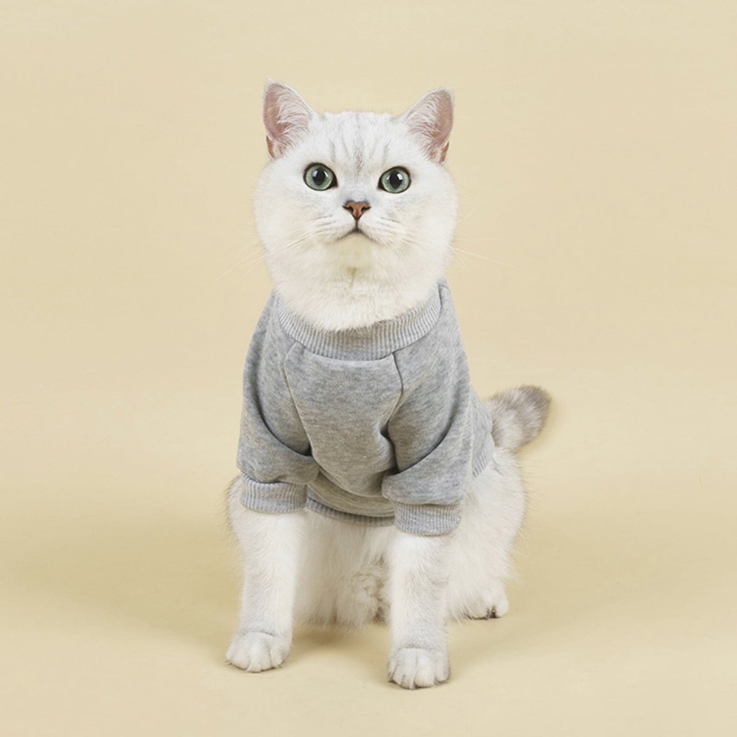 LGCASL Pet Hoodie, Dog Winter Sweater Cat Warm Clothes Pet Sweater Round Neck Solid Color Thickening Cat Dog Knitwear Sweater for Cats Or Dogs in Cold Season (Light Blue, S) S Grey