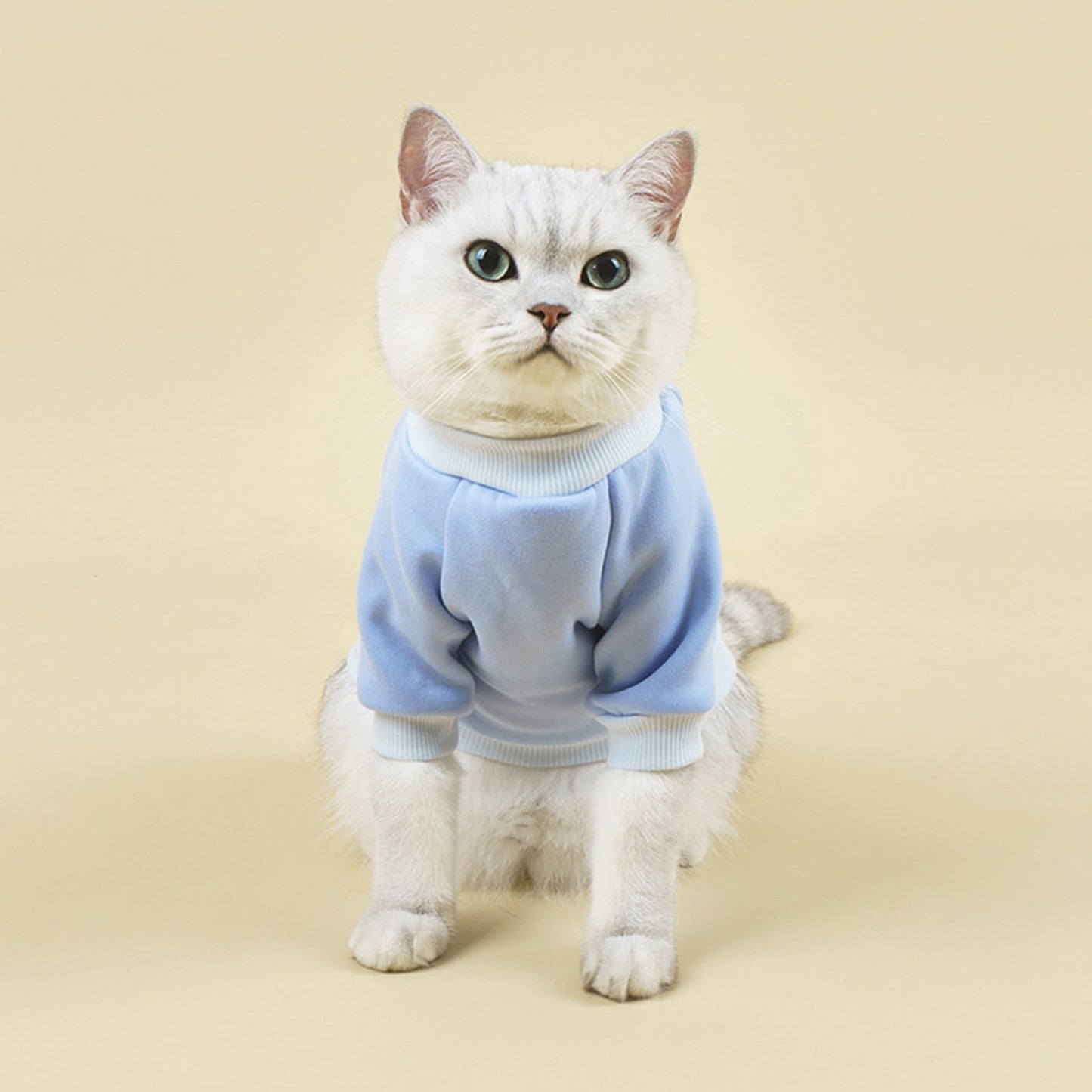 LGCASL Pet Hoodie, Dog Winter Sweater Cat Warm Clothes Pet Sweater Round Neck Solid Color Thickening Cat Dog Knitwear Sweater for Cats Or Dogs in Cold Season (Light Blue, S) S Light blue
