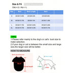 LGCASL Pet Hoodie, Dog Winter Sweater Cat Warm Clothes Pet Sweater Round Neck Solid Color Thickening Cat Dog Knitwear Sweater for Cats Or Dogs in Cold Season (Light Blue, S) S Light blue