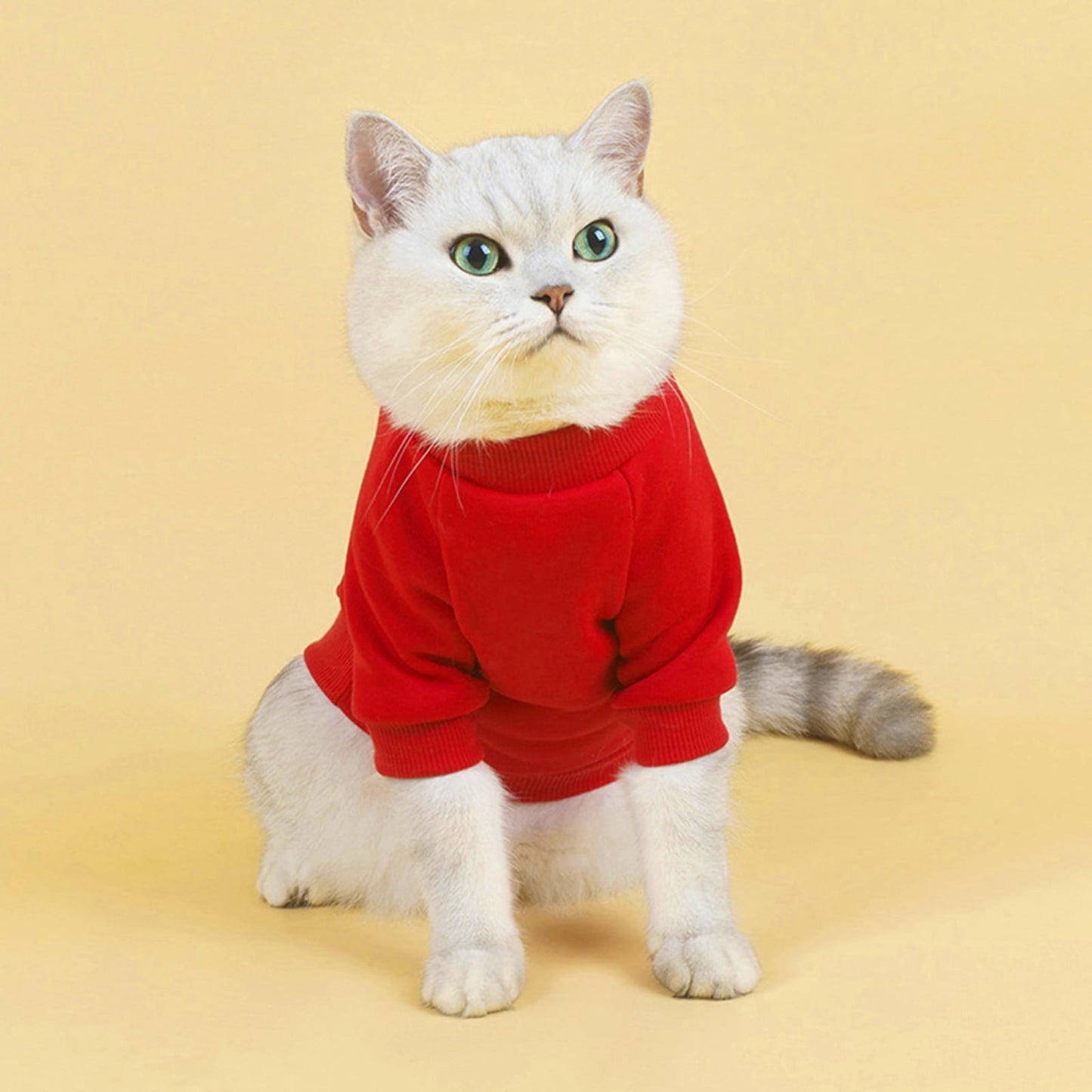 LGCASL Pet Hoodie, Dog Winter Sweater Cat Warm Clothes Pet Sweater Round Neck Solid Color Thickening Cat Dog Knitwear Sweater for Cats Or Dogs in Cold Season (Light Blue, S) S Red