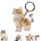 Keychain - Pet Hair - Storage Box - Pendants - Capsule Toy - Dog Hair Capsule - Memorial Pendant - Bag Keychain - Pendants - Memory Capsule Pendant - Cat Hair Collection - DIY - 1 Piece