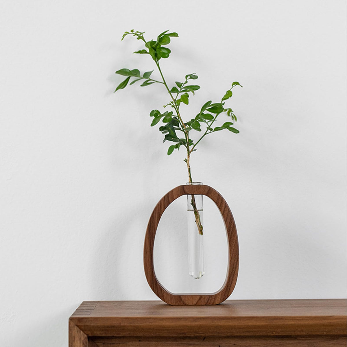 Hydroponic Plant Cutting Station with Glass Test Tube Vase and Wooden Stand for Flowers, Propagation and Home Decor, Brown