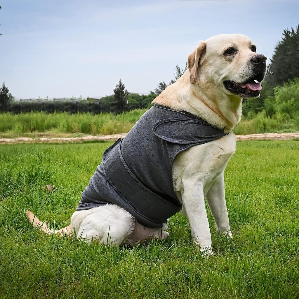 Dog Jacket, Skin-Friendly Dog Calming Vest - Dog Shirt for Thunder, Fireworks and Separation - Keep Pet Calm Without Medicine & Training, Anti Anxiety Vest for Dogs XL Light Grey