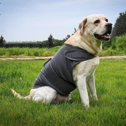 Dog Jacket, Skin-Friendly Dog Calming Vest - Dog Shirt for Thunder, Fireworks and Separation - Keep Pet Calm Without Medicine & Training, Anti Anxiety Vest for Dogs XL Light Grey