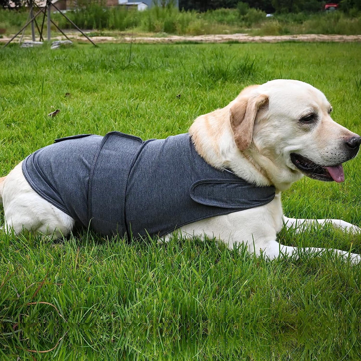 Dog Jacket, Skin-Friendly Dog Calming Vest - Dog Shirt for Thunder, Fireworks and Separation - Keep Pet Calm Without Medicine & Training, Anti Anxiety Vest for Dogs XL Light Grey
