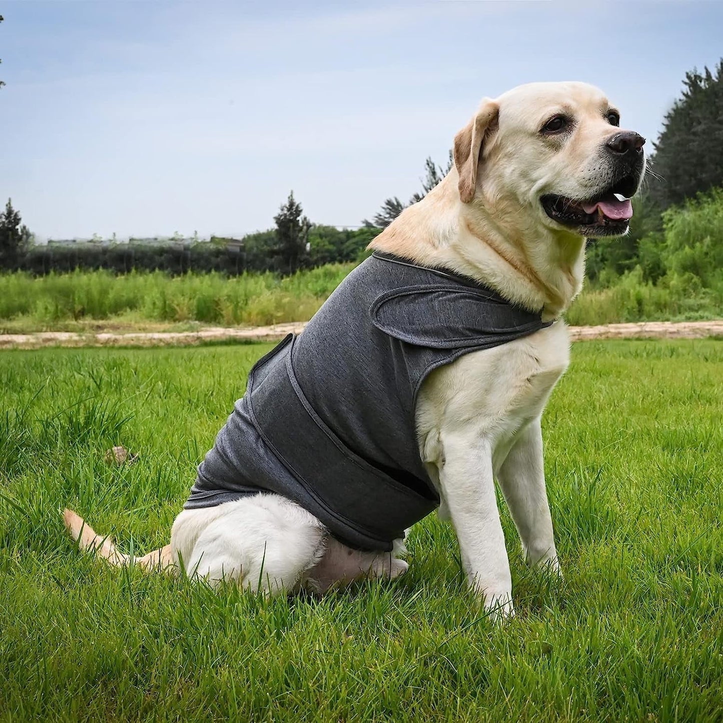 Dog Jacket, Skin-Friendly Dog Calming Vest - Dog Shirt for Thunder, Fireworks and Separation - Keep Pet Calm Without Medicine & Training, Anti Anxiety Vest for Dogs 2XL Light Grey
