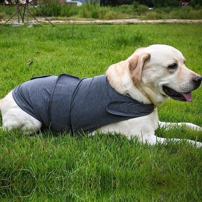 Dog Jacket, Skin-Friendly Dog Calming Vest - Dog Shirt for Thunder, Fireworks and Separation - Keep Pet Calm Without Medicine & Training, Anti Anxiety Vest for Dogs 2XL Light Grey
