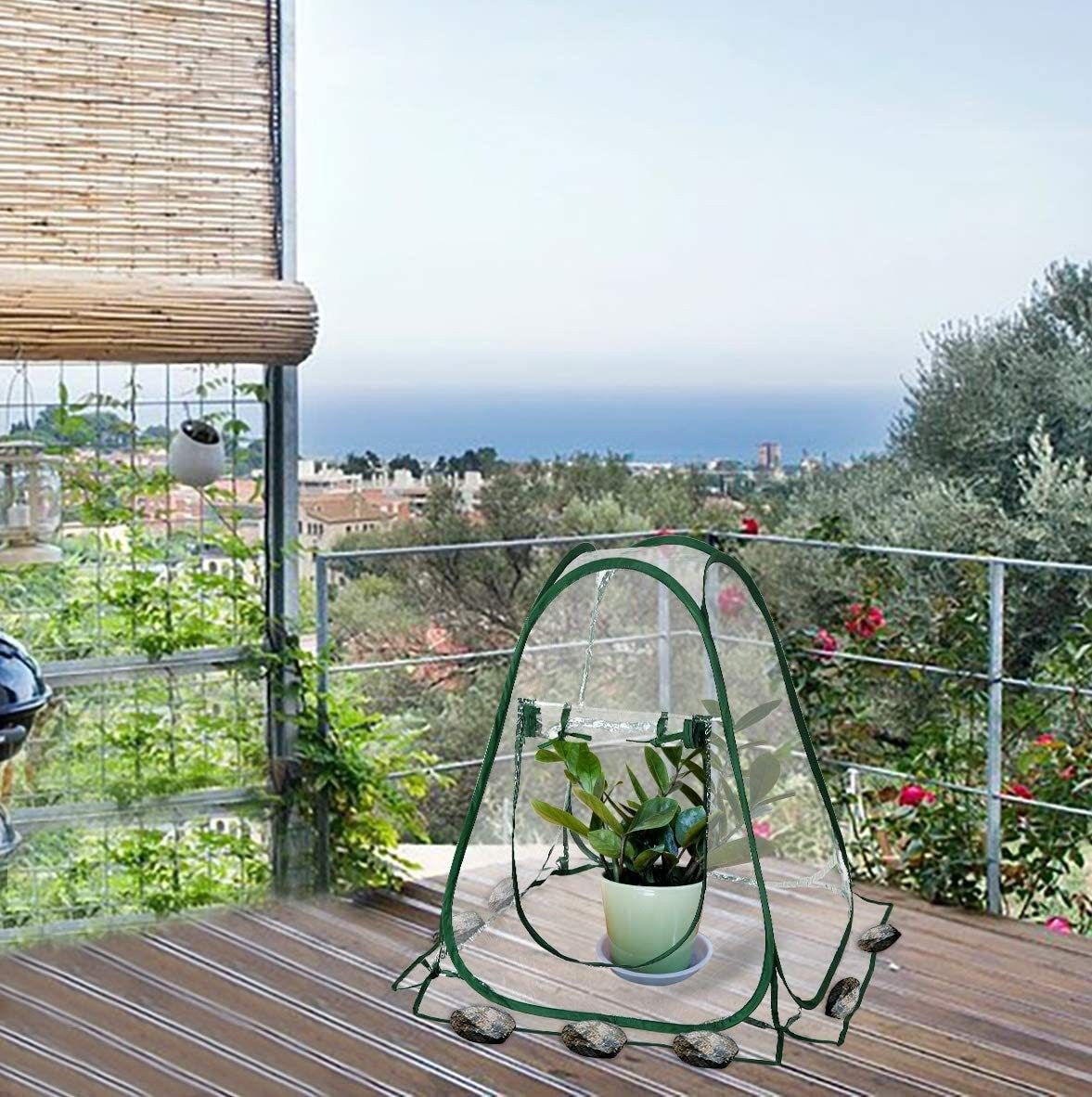 Pop Up Greenhouse Cover Flower House Mini Gardening Plant Flower Sunshine Room Room,Backyard PVC Greenhouse Cover for Cold Frost Protector Gardening Plants(70*70*80cm)