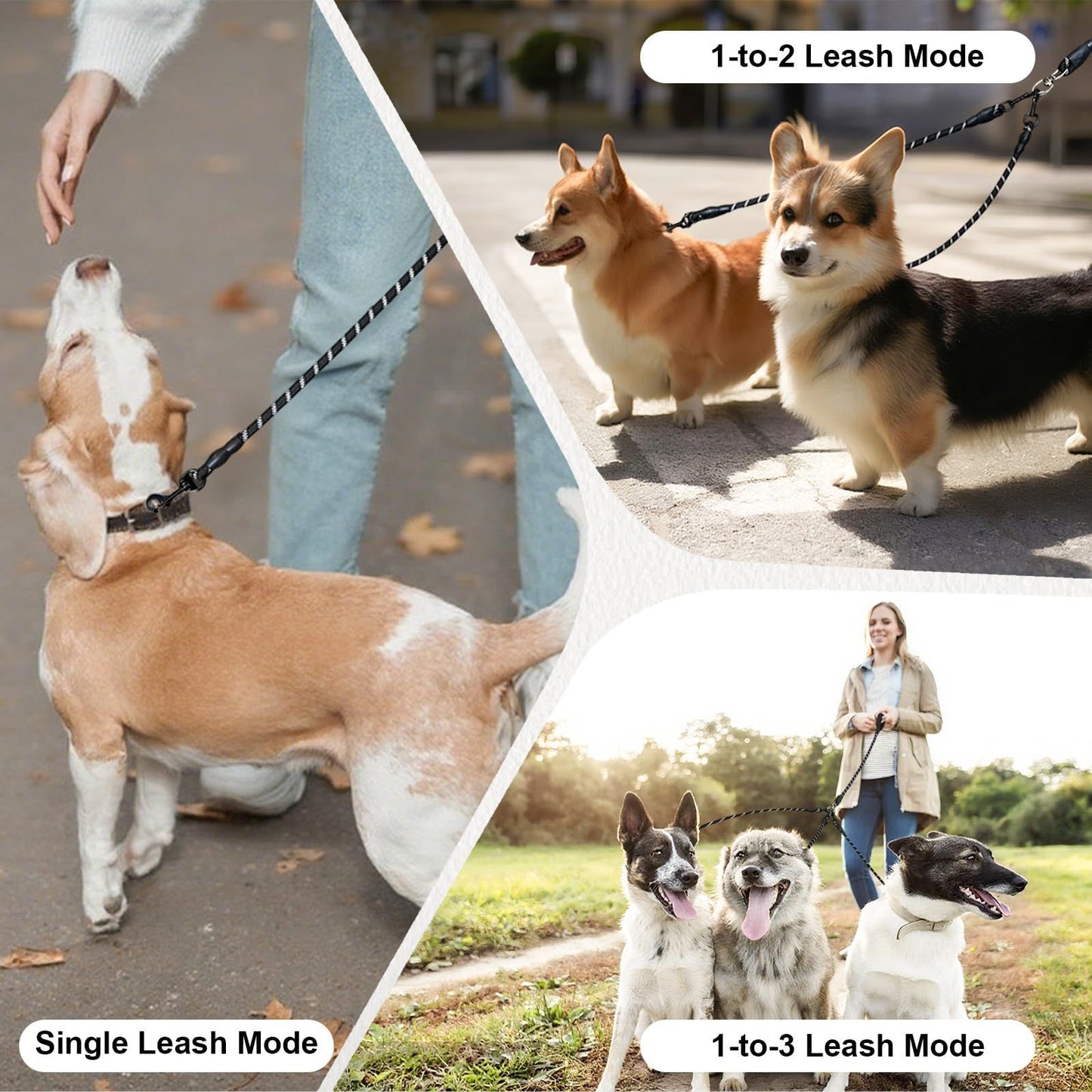 No Tangle 3 Dog  - Main Lead Rope with Padded Handle, Three Detachable Leash Splitters, Heavy-Duty Clip,  Walking, Running, Small, Medium, Large Dogs (Black)