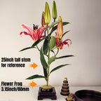 80mm Flower Frog Large Floral Frog Flower Arrangements Supplies Ikebana with Rubber Base (3.15inch)