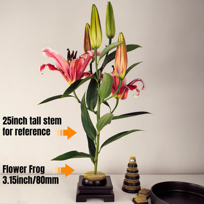 80mm Flower Frog Large Floral Frog Flower Arrangements Supplies Ikebana with Rubber Base (3.15inch)
