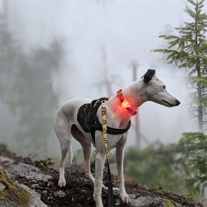 2pcs Rechargeable Collar Light - Carabiner Keychain Clip with LED Light - Clip Color-Changing Light for Dog Collars