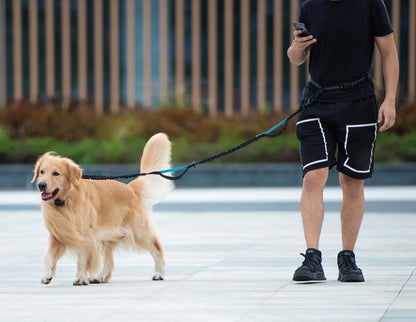 Hands Free Waist Leash for Dog Running Training and Jogging, Adjustable Belt with Double Handle, Reflective Bungee for Medium Large Dogs( Blue)