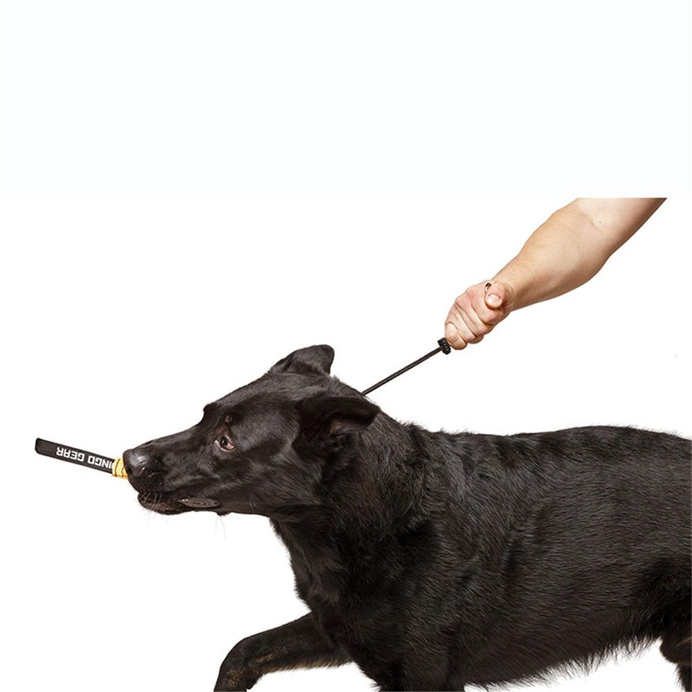 Slip ring black pet training P-chain explosion-proof drawstring with limiter, medium and large dog training rope( 40CM)