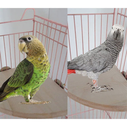 Flat Platform Stand, Easy to Install, Safe and Stable, Smooth Polishing Without Hurting Feet, Solid Hardwood Bird Cage Perches（10*10）