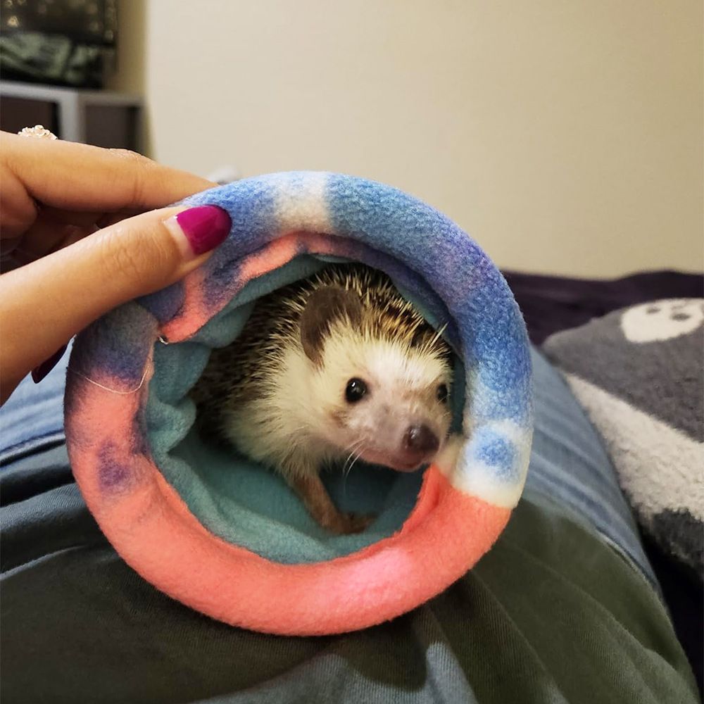 Guinea Pig Hideout, Bunny Hideaway, Rabbit Bed, Polar Fleece Small Animal Hideout for Guinea Pig Cage, Bunny Enrichment, Rat & Chinchilla Habitat Accessory（Colorful Rainbow）large size