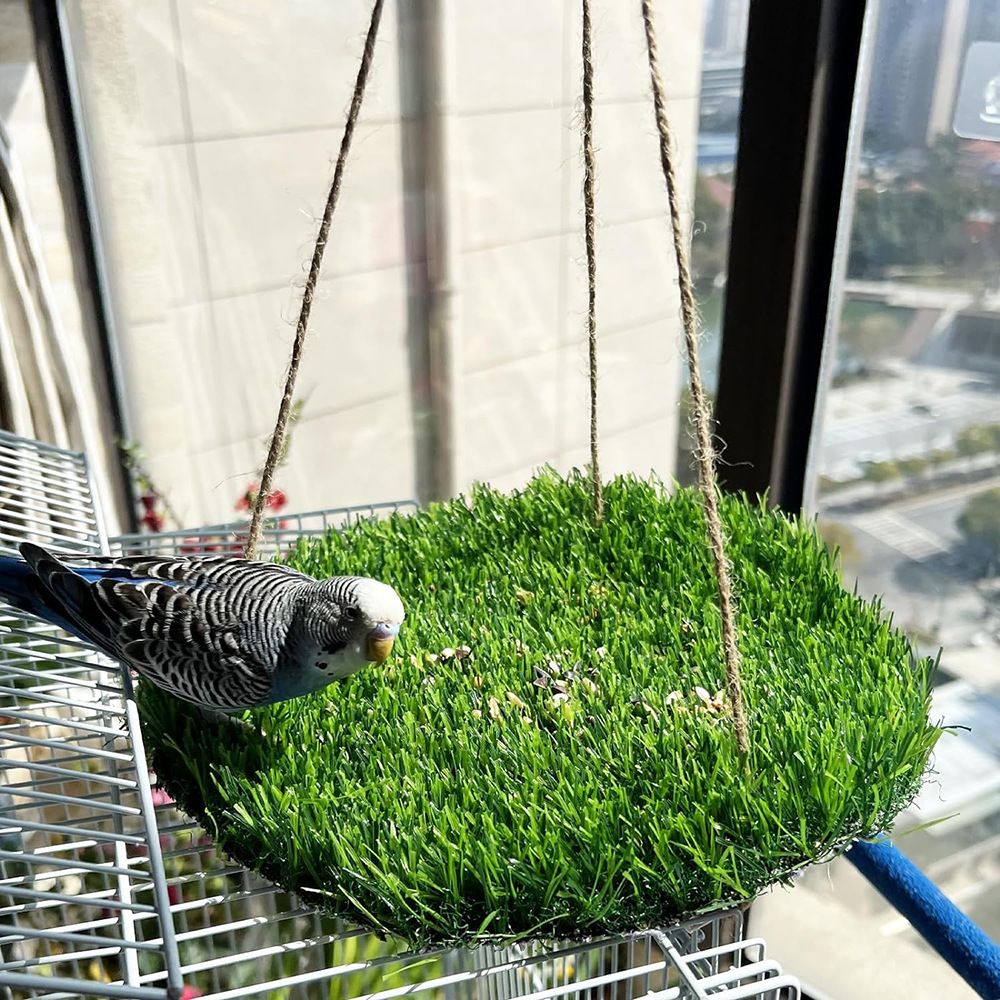 Large Bird Foraging Mat Toys, Natural Bird Grass Hammock Swing Toy with Hooks, Climbing Perch Hanging Toy for Parakeets, Parrot, Cockatiels, Bearded Dragon, Snake（rotundity）