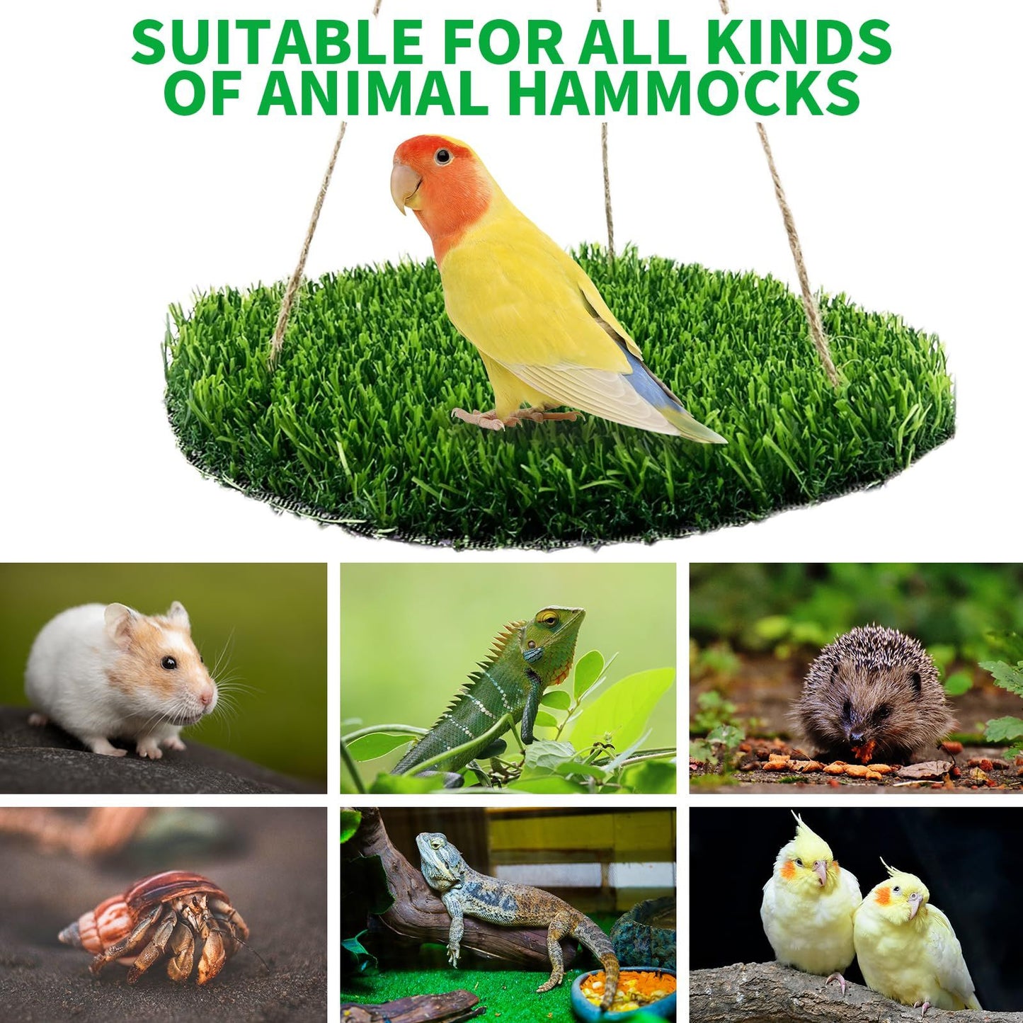 Large Bird Foraging Mat Toys, Natural Bird Grass Hammock Swing Toy with Hooks, Climbing Perch Hanging Toy for Parakeets, Parrot, Cockatiels, Bearded Dragon, Snake（rotundity）