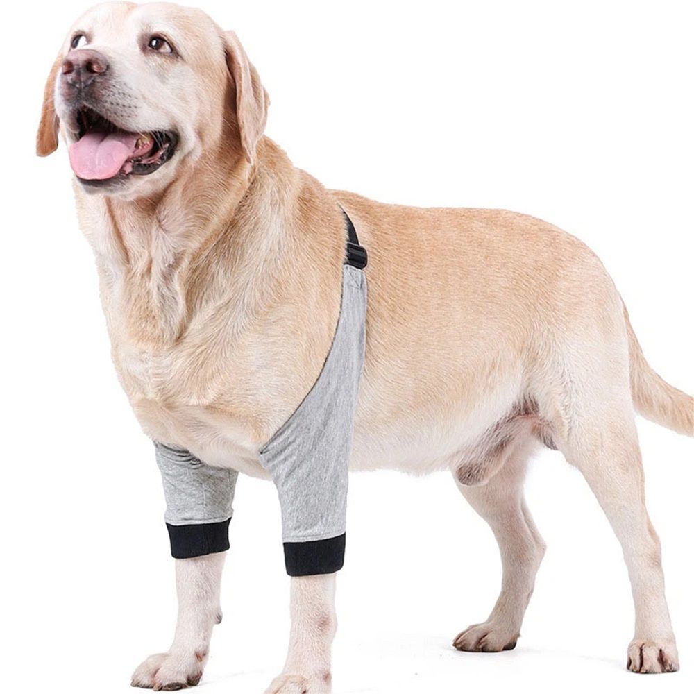Dog Elbow Protector for Calluses, Recovery Suit for Front Legs, Cone Collar Alternative to Stop Licking Wounds, Cover Sleeve for Small Medium Large Dogs gray (M)