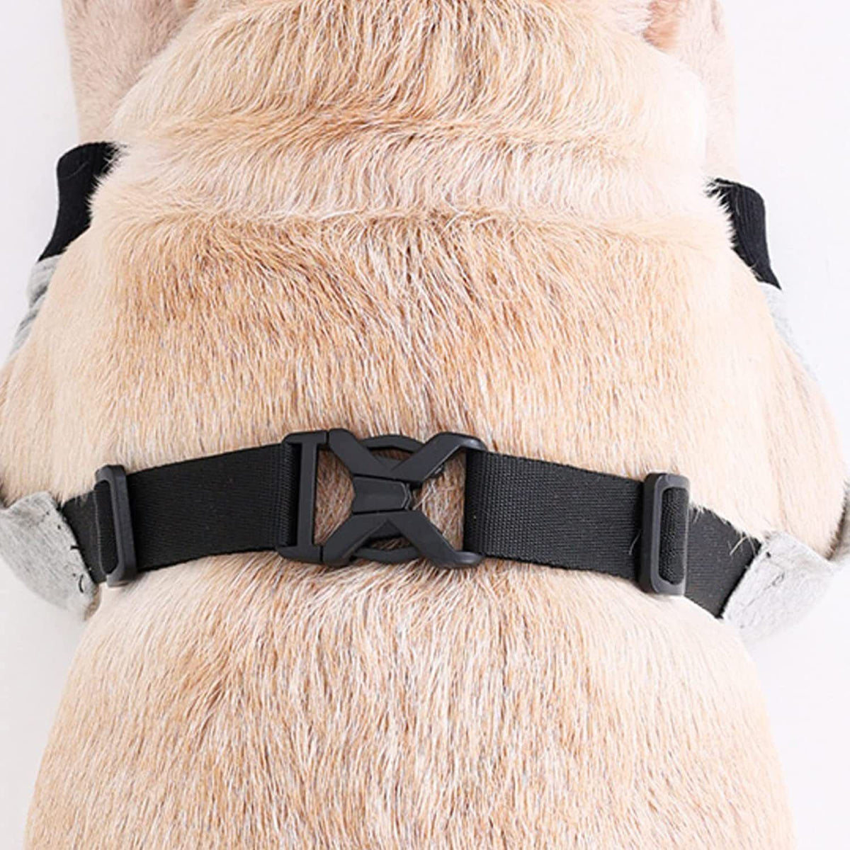 Dog Elbow Protector for Calluses, Recovery Suit for Front Legs, Cone Collar Alternative to Stop Licking Wounds, Cover Sleeve for Small Medium Large Dogs gray (M)