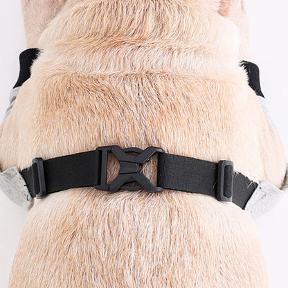 Dog Elbow Protector for Calluses, Recovery Suit for Front Legs, Cone Collar Alternative to Stop Licking Wounds, Cover Sleeve for Small Medium Large Dogs gray (M)