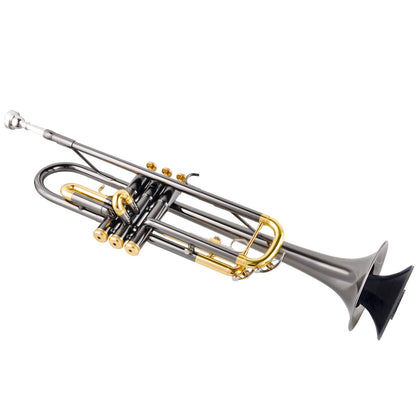 Portable Trumpet Stand Holder Metal with 5 Leg Foldable Detachable Trumpet Holder Stable Metal Legs for trumpet, Black (Stand)