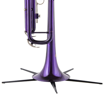 Portable Trumpet Stand Holder Metal with 5 Leg Foldable Detachable Trumpet Holder Stable Metal Legs for trumpet, Black (Stand)