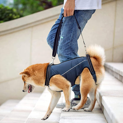 Back Legs with Handles,Adjustable Dog Lift Sling Carrier for Senior, Disabled, Joint Injuries, Arthritis, Loss of Stability Dogs（Navy blue M）
