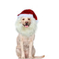 Christmas Dog Santa Costume, Adjustable Red Santa Hat with White Beard Wig, Christmas Costumes for Small Medium Large Dogs (White, M)
