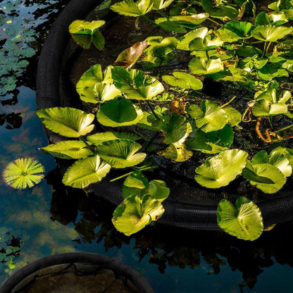 1Pack Floating Flora Fish Barrier Floating Island Plant Protector Round Floating Flora Island for Pond Protects Your Floating Plants from Pond Fish（black 45cm）