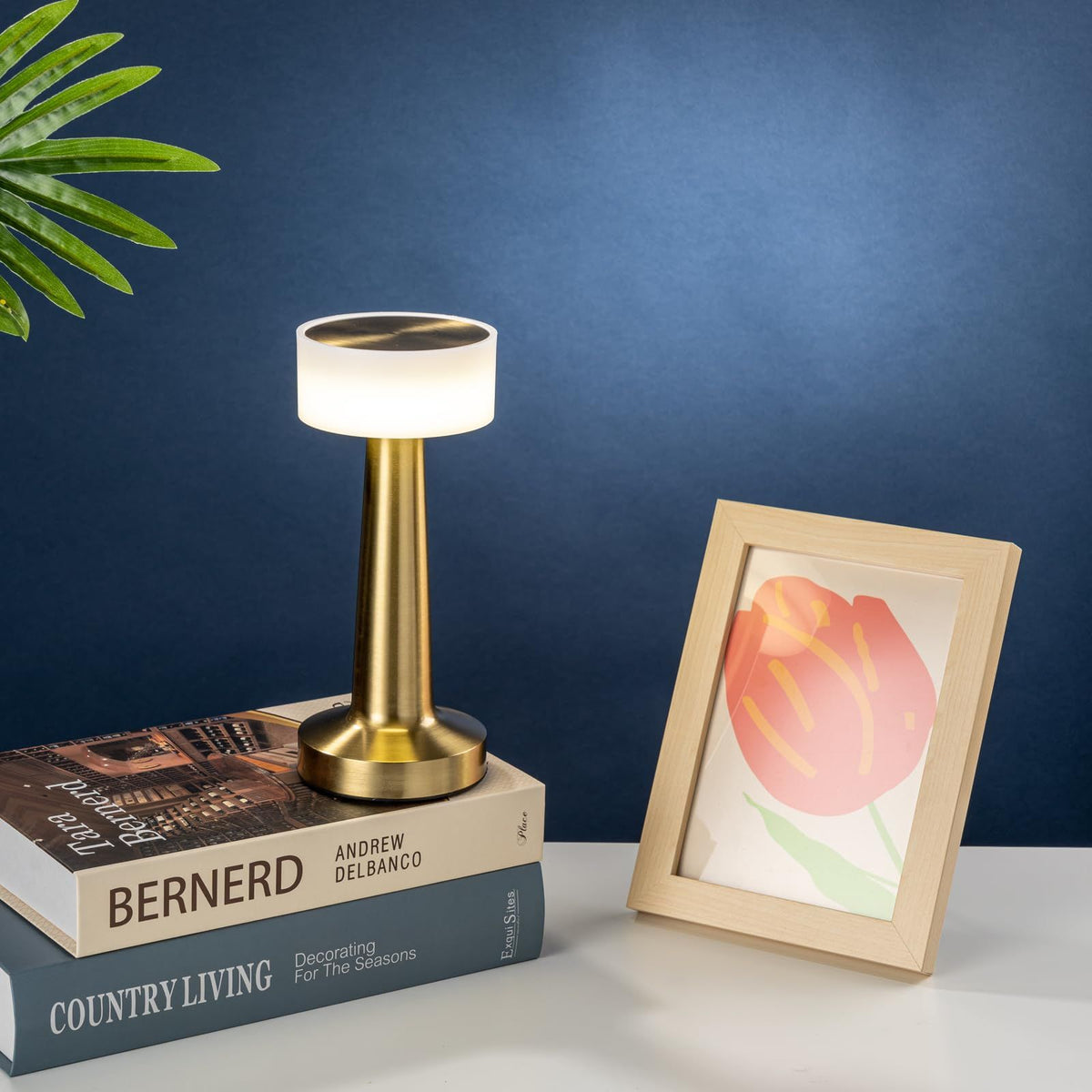 LED Table Lamp with Touch Sensor,3-Levels Brightness,Portable Rechargeable Cordless Desk Lamp,Suitable for Bedrooms