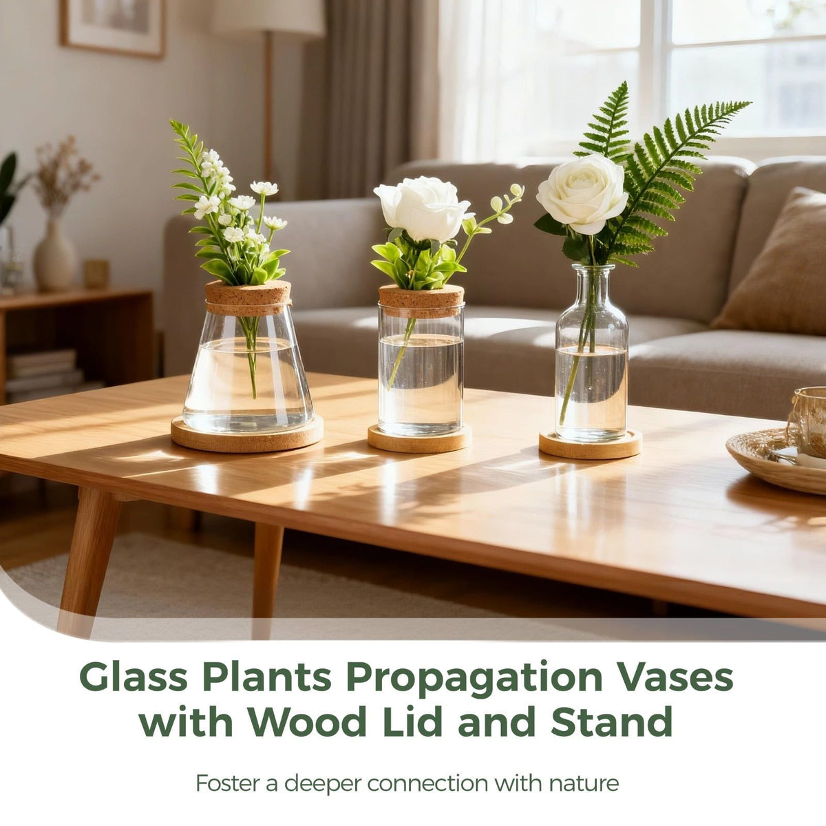 6PCS Plants Propagation Stations, Desktop Glass Propagation Vases with Wood Lid and Stand, Hydroponic Vase for Home, Office Decor, Glass Propagation Vases for Plant Growing