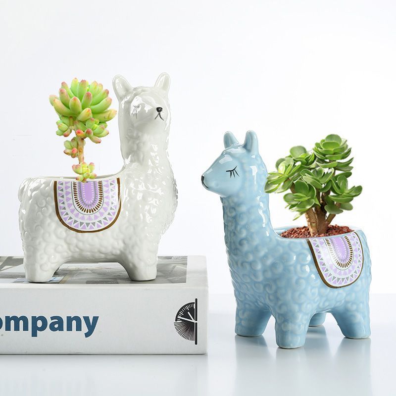 Alpaca Orchid Ceramic Planter