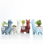 Alpaca Red Ceramic Planter