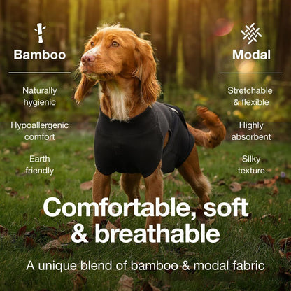 Pet physiological pants-L