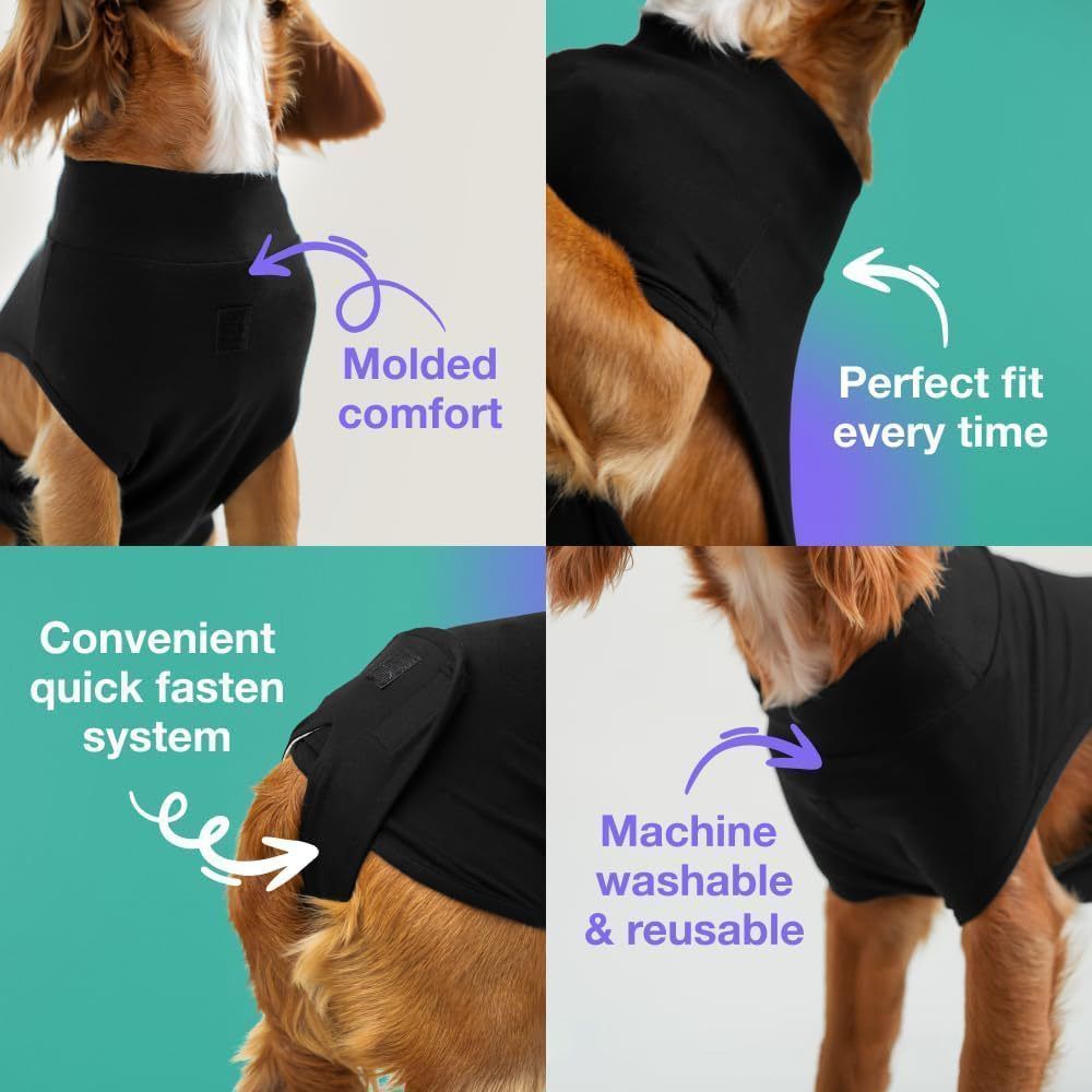 Pet physiological pants-M