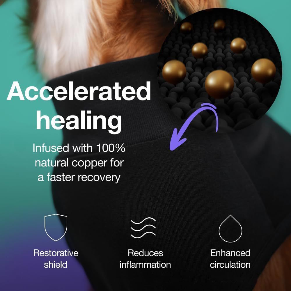Pet physiological pants-S