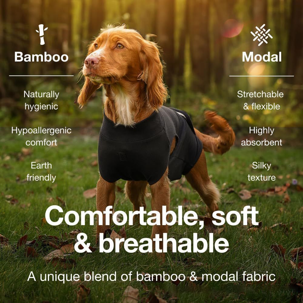 Pet physiological pants-XS