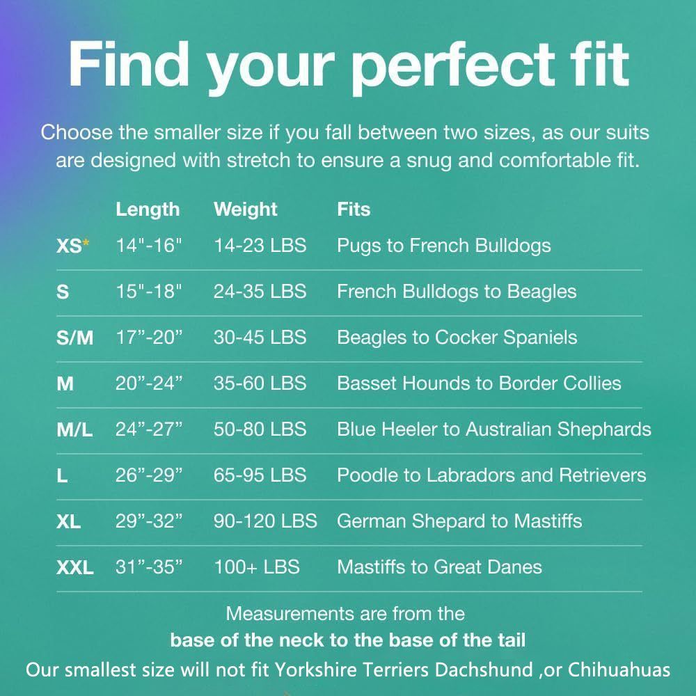 Pet physiological pants-XS