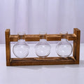 Triple Round Glass Vases with Snap-Fit Wooden Stand | Christmas Lush Layered Gift | 3-Piece Hydroponic Glass Planter Set Desktop Plant Display