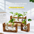 Triple Round Glass Vases with Snap-Fit Wooden Stand | Christmas Lush Layered Gift | 3-Piece Hydroponic Glass Planter Set Desktop Plant Display