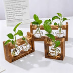 Triple Round Glass Vases with Snap-Fit Wooden Stand | Christmas Lush Layered Gift | 3-Piece Hydroponic Glass Planter Set Desktop Plant Display