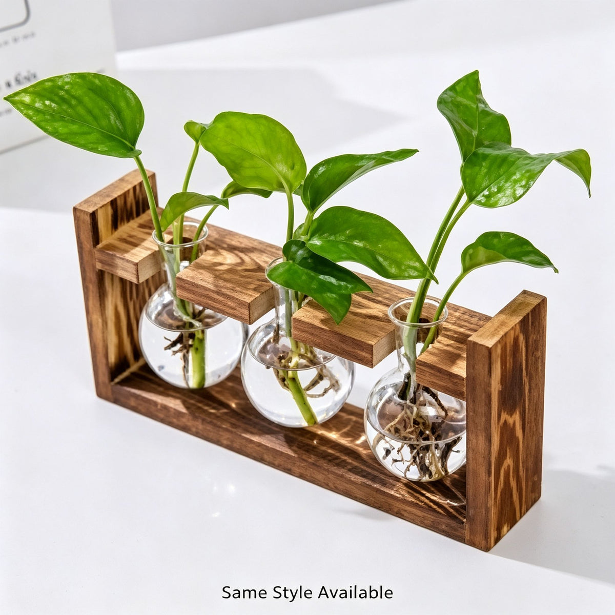 Triple Round Glass Vases with Snap-Fit Wooden Stand | Christmas Lush Layered Gift | 3-Piece Hydroponic Glass Planter Set Desktop Plant Display