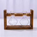 Double Diamond Faceted Glass Vases with Snap-Fit Wooden Stand | Christmas Chic Texture Gift | Paired Faceted Hydroponic Planter Stylish Desktop Decor