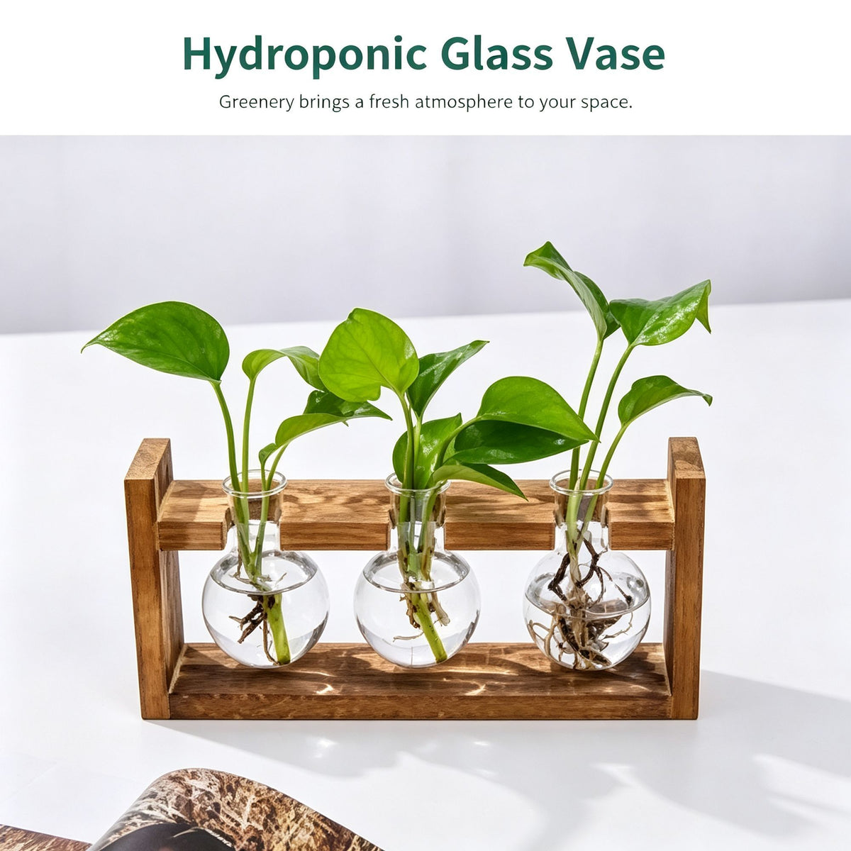 Double Diamond Faceted Glass Vases with Snap-Fit Wooden Stand | Christmas Chic Texture Gift | Paired Faceted Hydroponic Planter Stylish Desktop Decor