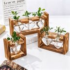 Double Diamond Faceted Glass Vases with Snap-Fit Wooden Stand | Christmas Chic Texture Gift | Paired Faceted Hydroponic Planter Stylish Desktop Decor