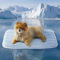 Cooling Mat for Small Dogs - Q-Max>0.4 Thin Breathable Crate Pad Indoor for Puppy and Cat with Chill Cool Fiber as Cooling Topper，Portable Washable Kennel Mat in Outdoor Summer, 24x18, Blue