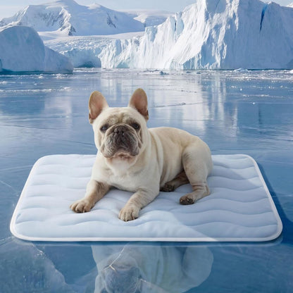 Cooling Mat Medium Size Dog - Q-Max>0.4 Thin Breathable Cooling Crate Pad Indoor for Pet with Chill Cool Fiber as Cooling Topper，Portable Washable Kennel Mat in Outdoor Summer, 29x21, Blue